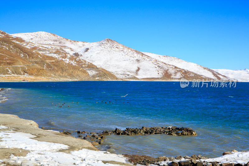 中国西藏羊卓雍措湖羊湖冬季雪景