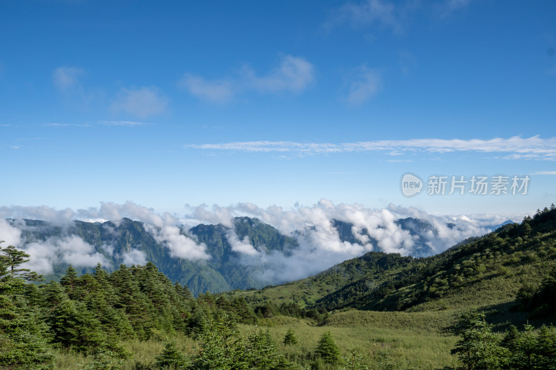 自然风光高山森林蓝天白云