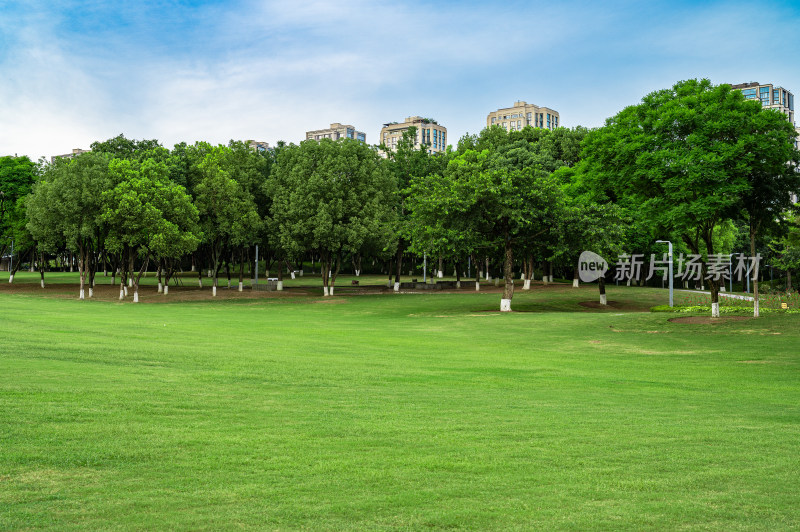 重庆渝北区中央公园空旷的草坪与树木