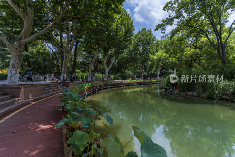 武汉江汉区中山公园风景