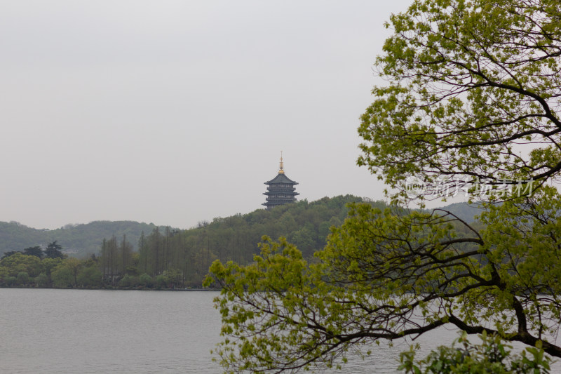 西湖苏堤边树木葱郁中的雷峰塔远景