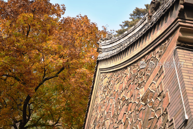 古树秋叶掩映下的北京潭柘寺古建筑