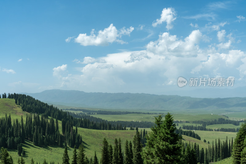 新疆伊犁那拉提景区