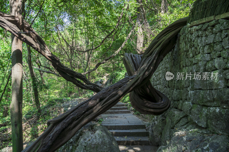 杭州凤凰山排衙石诗刻