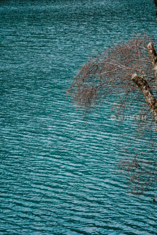 九寨沟的清澈湖水景观