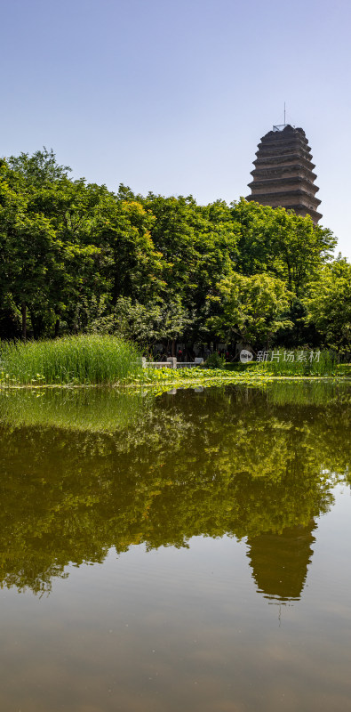 陕西西安小雁塔遗址公园西安博物馆景点景观