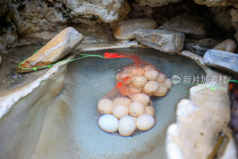 云南保山鸡飞温泉