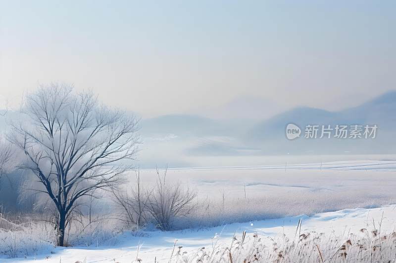 冬天风景大雪背景天空