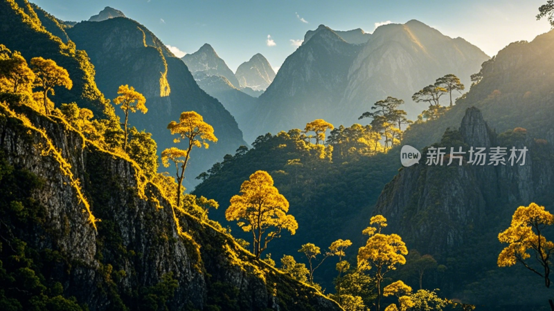 哀牢山森林自然风光