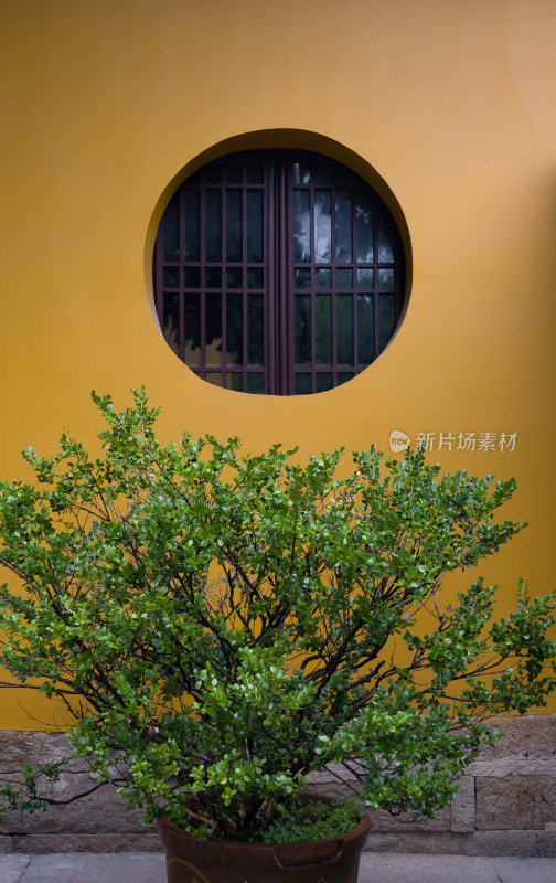 苏州园林寺院宁静窗户绿植诗意居所