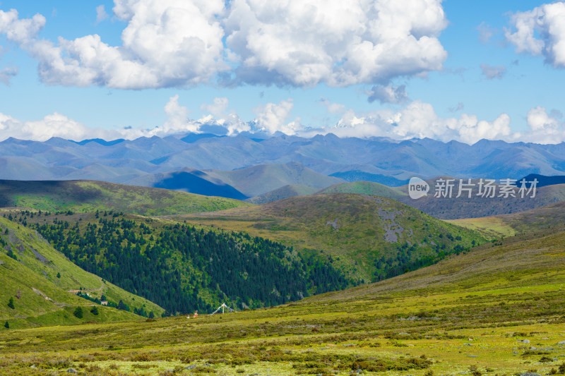 318川藏线川西甘孜高海拔草原雪山自然风光