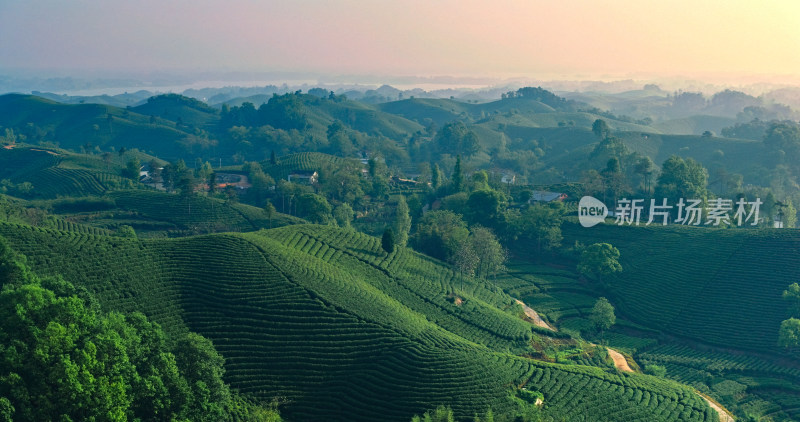 茶园茶山美丽乡村