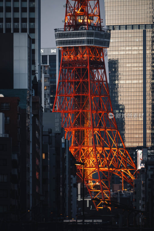 东京塔夜景