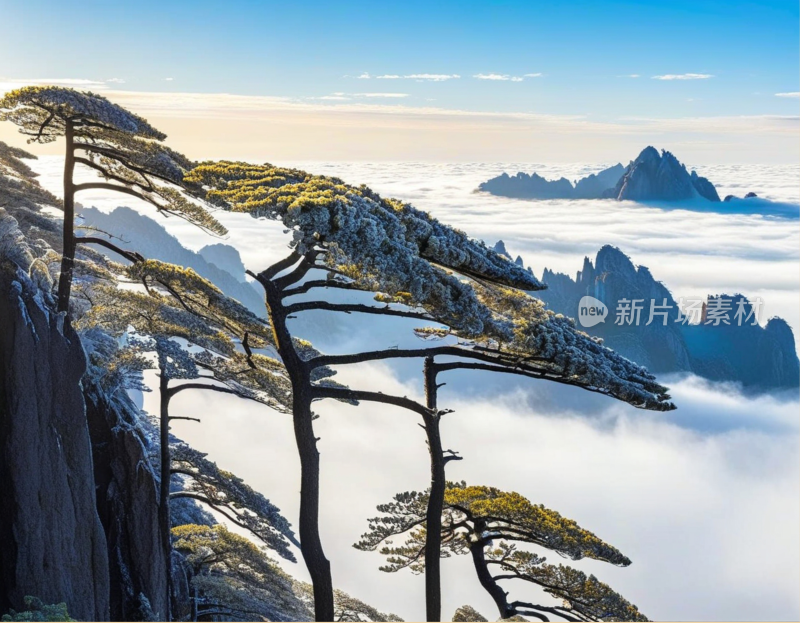 黄山风景