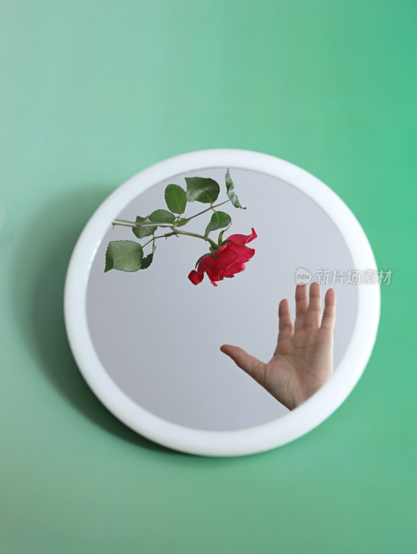绿色背景上镜子中一只手伸过去摘红色玫瑰花
