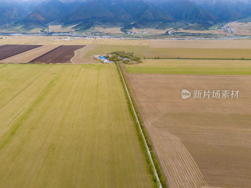 平原农业种植航拍图