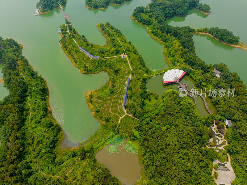 航拍夏季河南信阳南湾湖茶岛风光