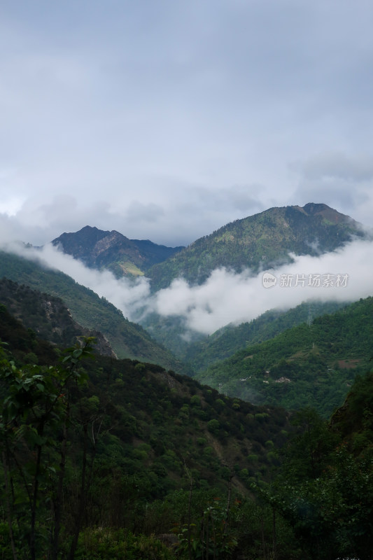 云南迪庆香格里拉云雾弥漫的山峰