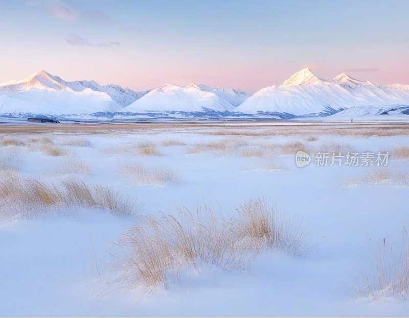 高山雪地