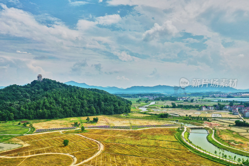 江西景德镇高岭村花海