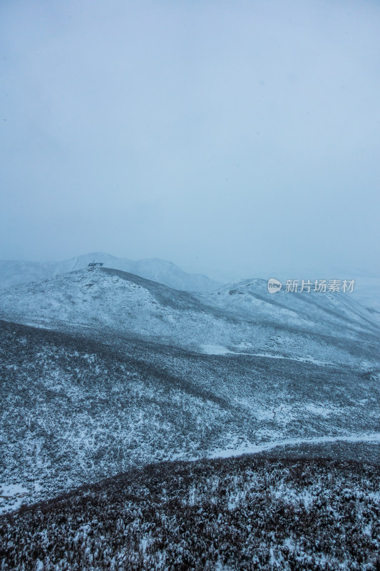 冬季雪地里的公路