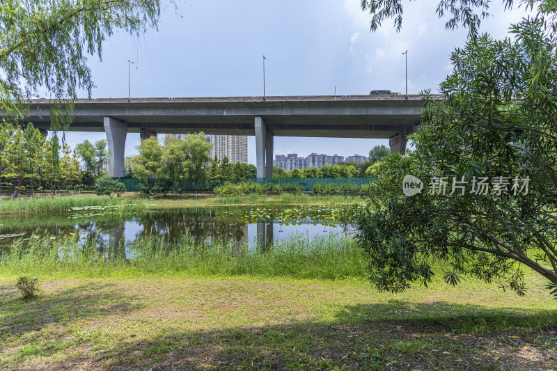 武汉青山区戴家湖公园风景