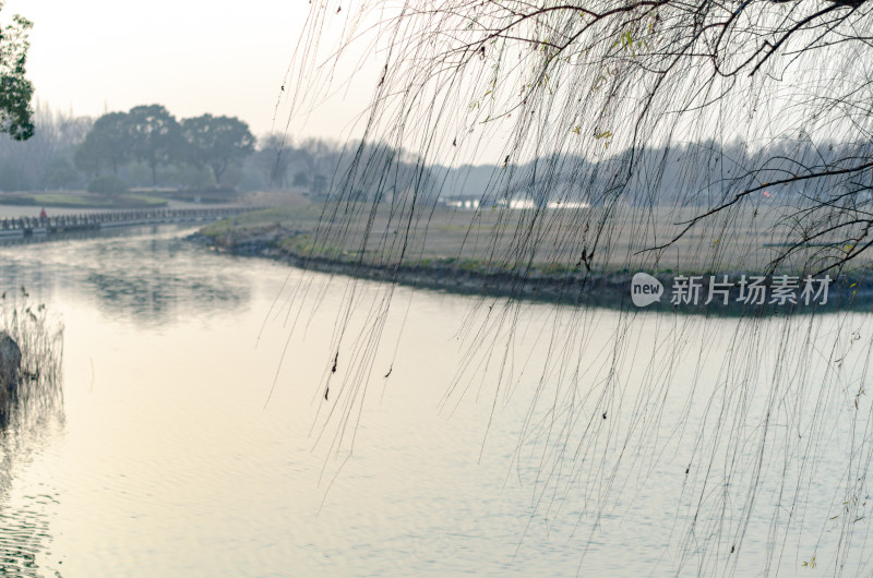 上海朱家角河畔