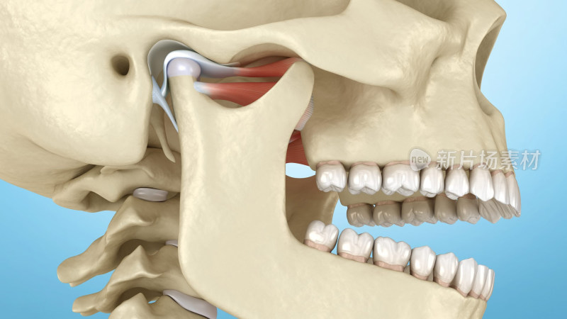 口腔医学牙齿牙科种植牙齿宣传插图