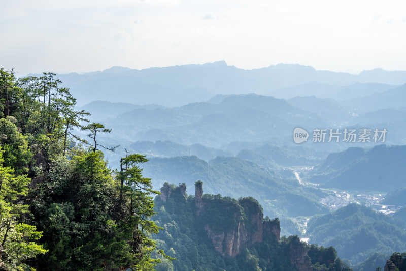 中国湖南张家界景区奇特山峰与茂密森林