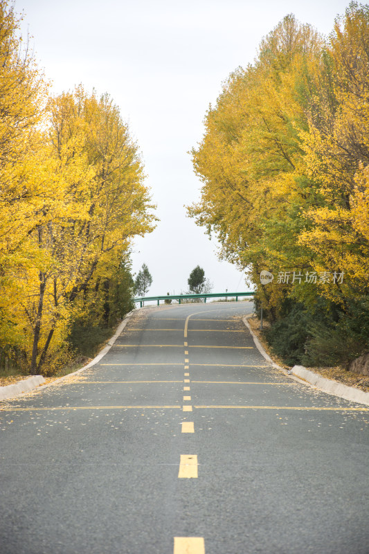 乡村秋天的公路