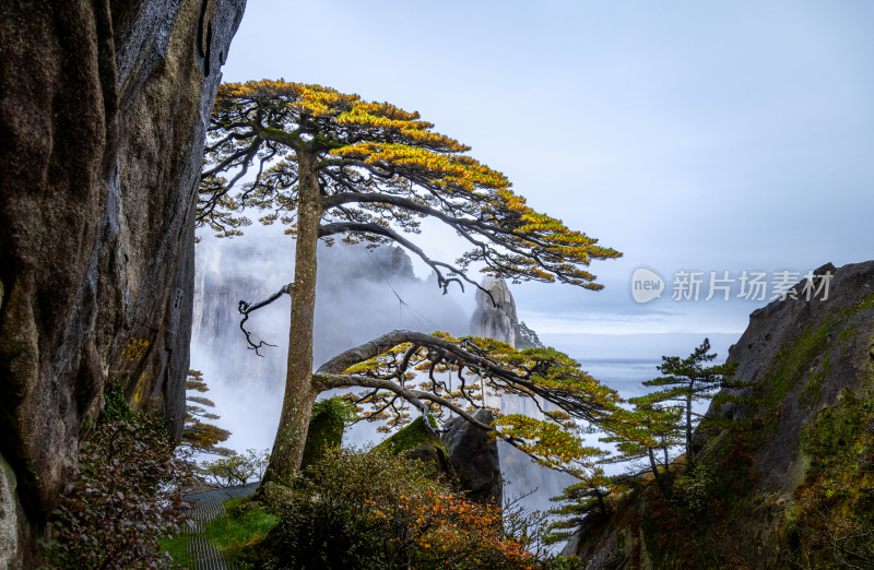 江西安徽黄山精美大片