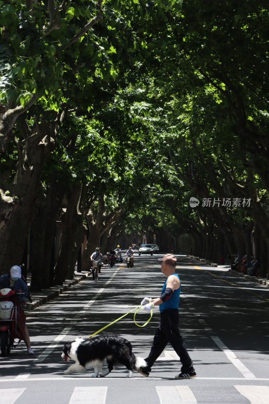 在人行道遛狗的人