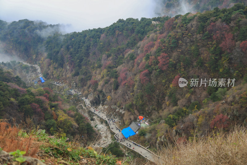 云海 山峰 山峦 清晨 泰山 唯美 秋色 秋天