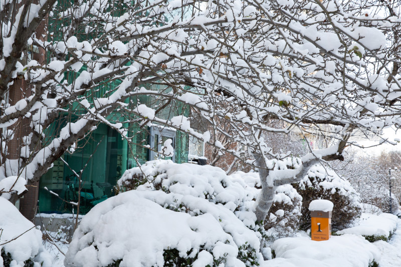 大雪后小区屋外厚厚的积雪雪景