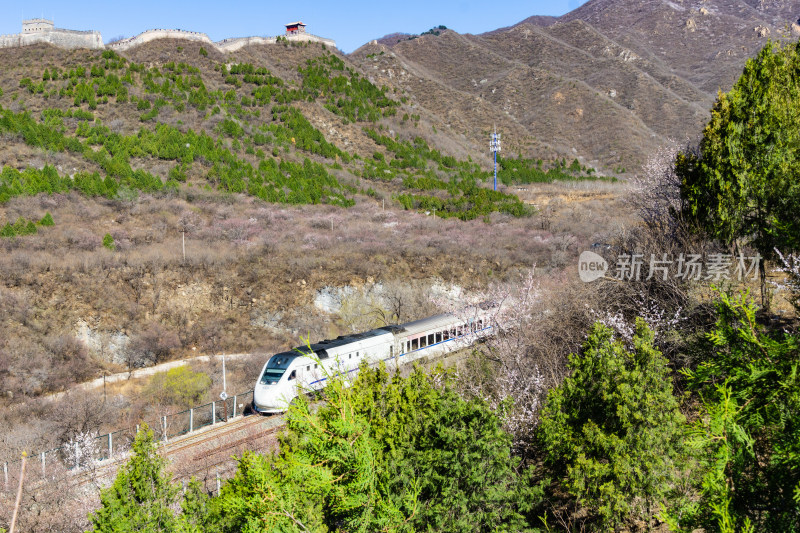 北京居庸关长城脚下人们在观看花海中的列车