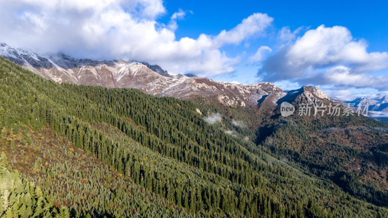 阿坝州若巴藏拉克山