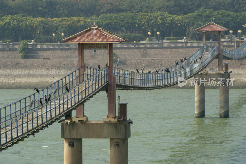 黄河小浪底风光