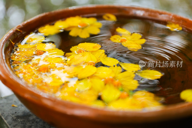 陶盆中漂浮的黄色花朵