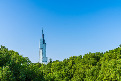 南京建筑群像特写