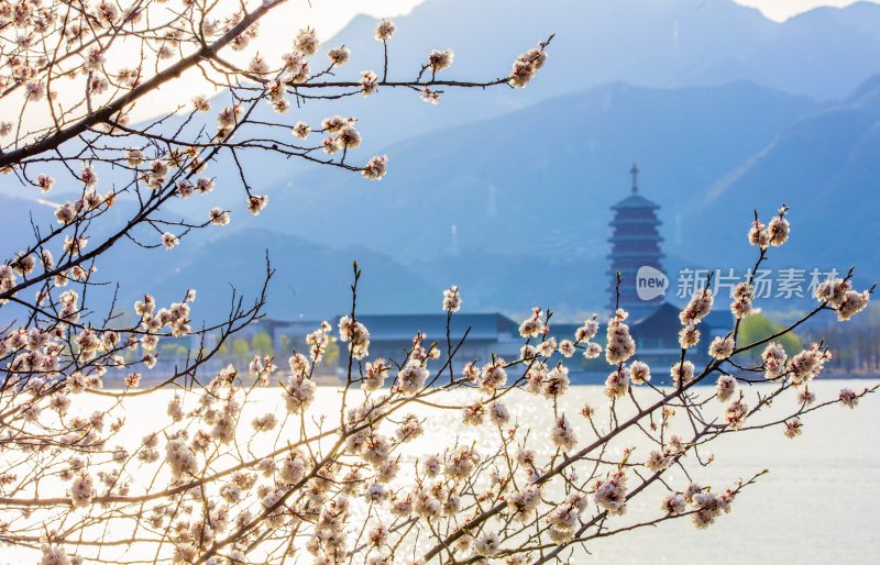 雁栖湖春季风光