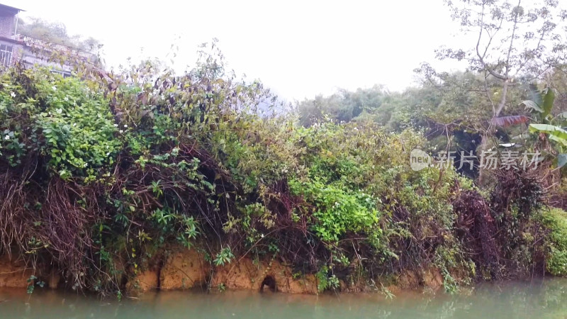 山脉河流植被