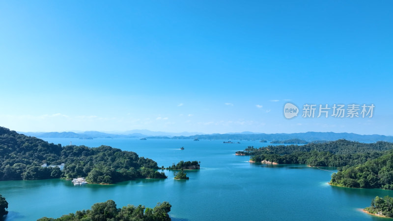 万绿湖风景航拍湖泊湿地公园草地河流风光