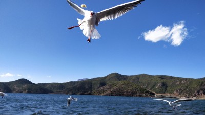 泸沽湖（资料图）