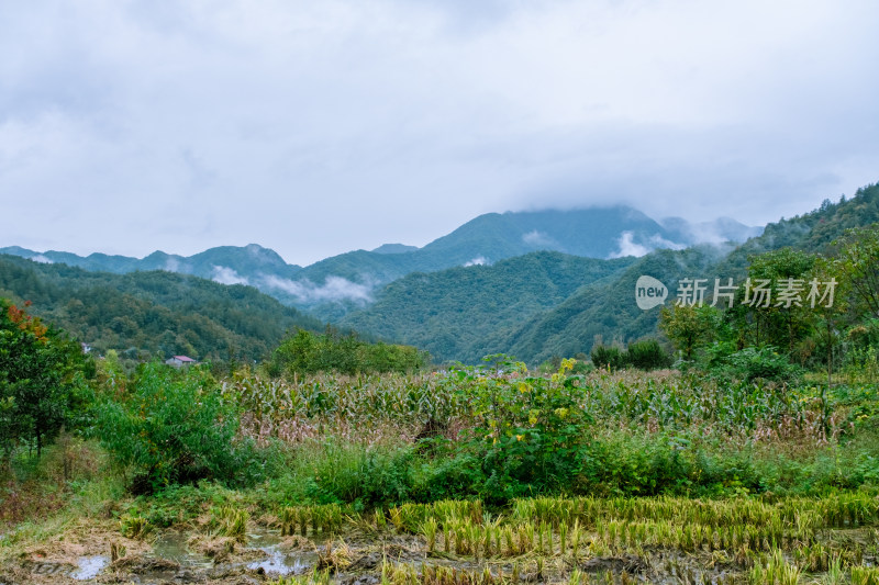 汉中留坝火烧店镇秦岭深处的山村田园风光