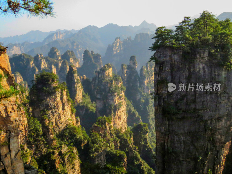 中国湖南张家界国家森林公园旅游风光