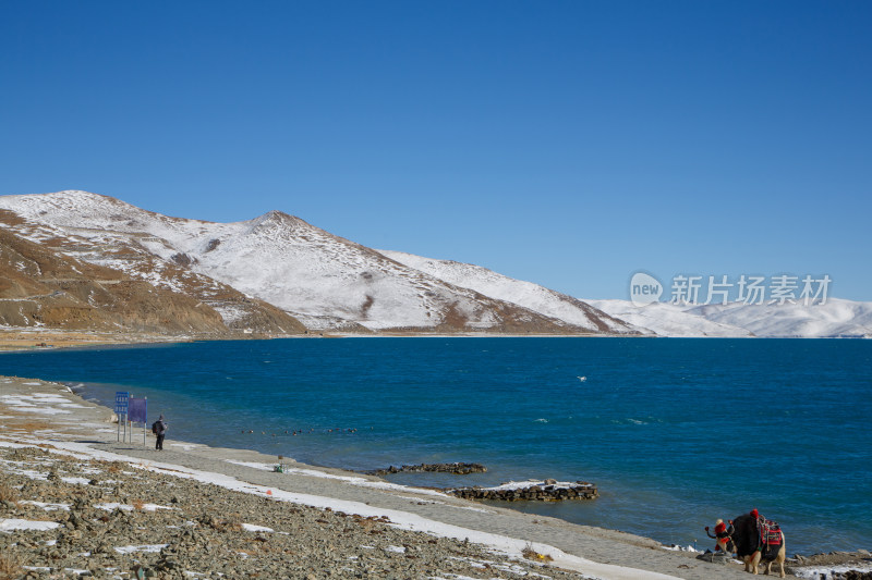 中国西藏羊卓雍措湖羊湖冬季雪景