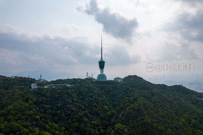 深圳梧桐山航拍图