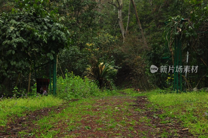 长沙风光  长沙街景 长沙城景  自然风景