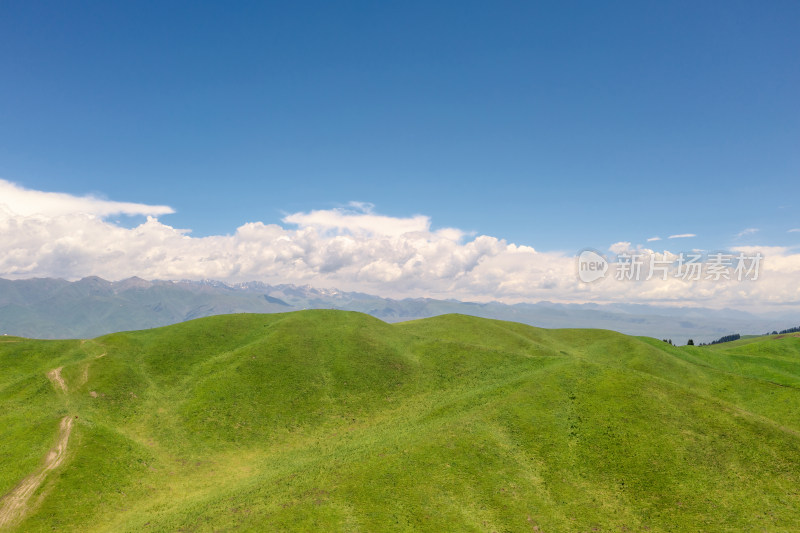 中国新疆伊犁那拉提草原自然风景