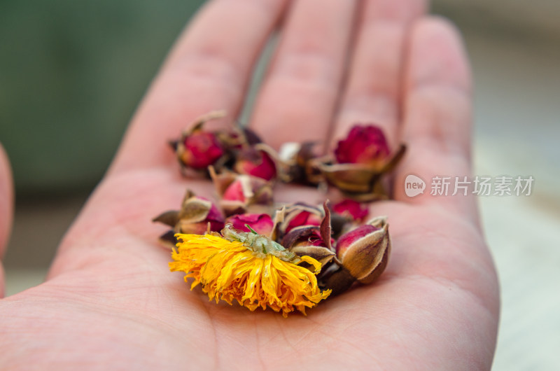 手中的菊花茶和玫瑰花茶